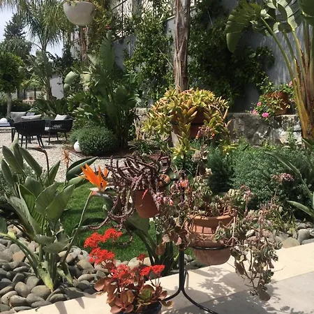 Oliva Butik 3* Бодрум