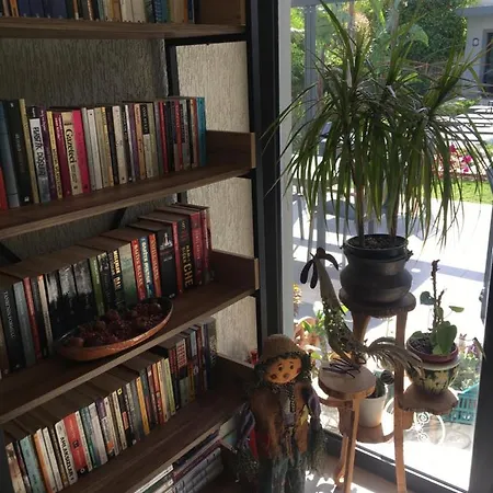 Отель Oliva Butik