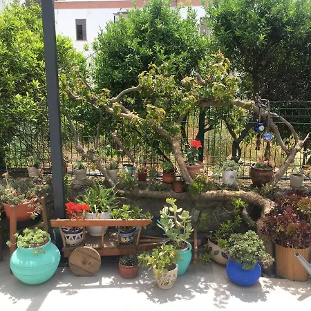 Oliva Butik Отель Бодрум