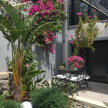 Oliva Butik Бодрум