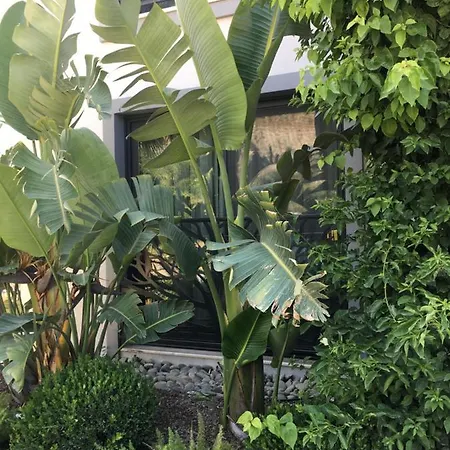 Отель Oliva Butik