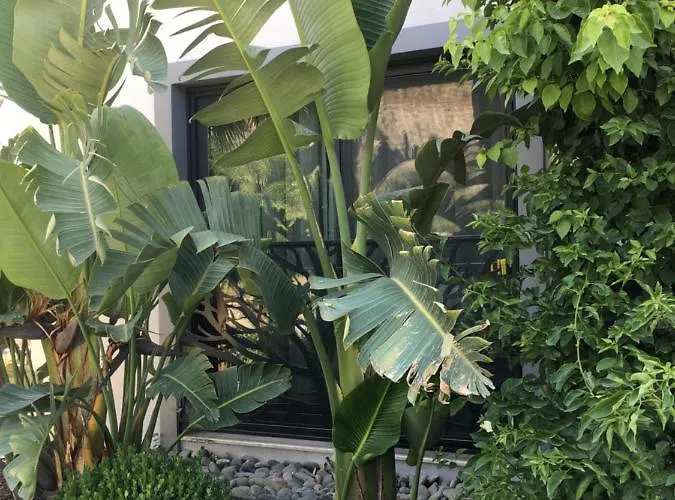 Ξενοδοχείο Oliva Butik