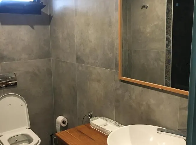 Ξενοδοχείο Oliva Butik 3*