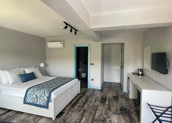 Oliva Butik 3* Αλικαρνασσός