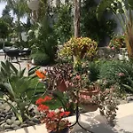 Oliva Butik 3* Bodrum